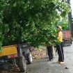 Ketgam: Suasana saat pelaksanaan kerja bakti