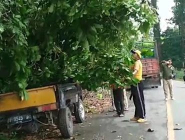 Ketgam: Suasana saat pelaksanaan kerja bakti 